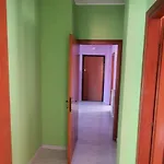 Ilio E Giulia 300 Meters From Metro Station C *